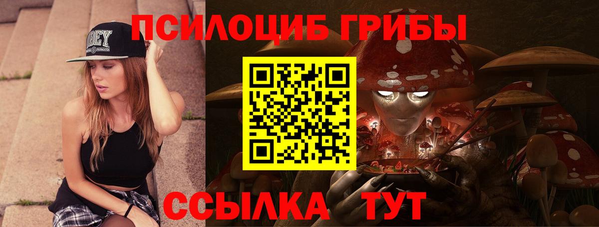 Миллерово  Псилоцибиновые грибы MAGIC MUSHROOMS  Вход с VPN 
